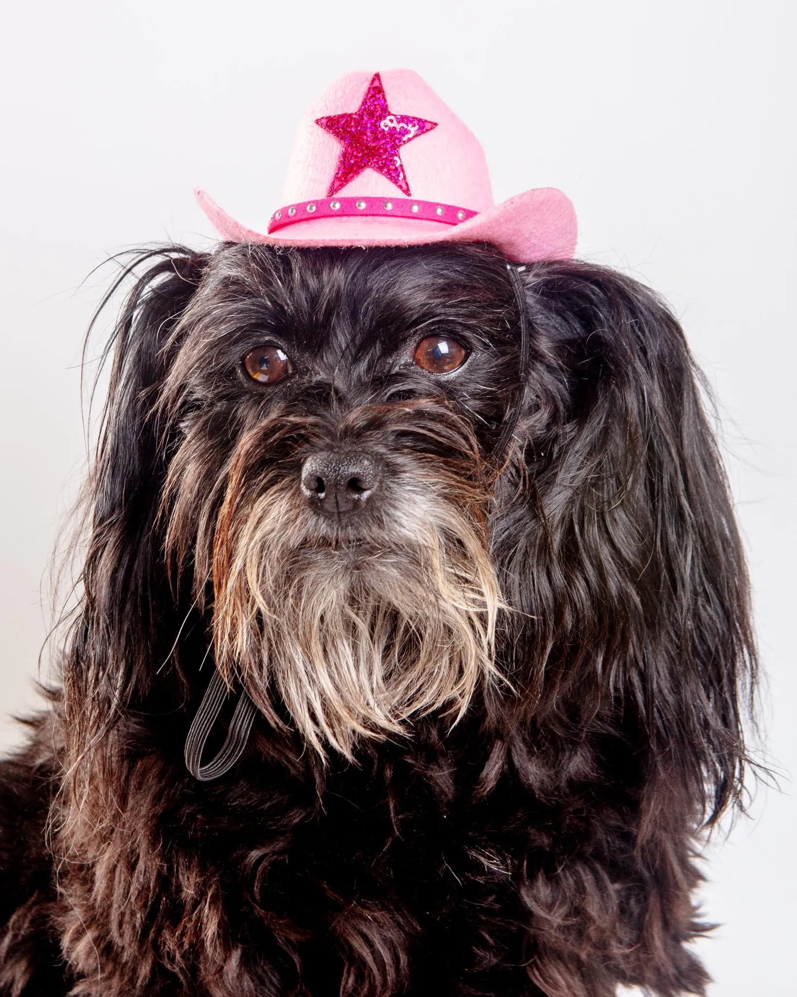 Cowboy Hat for Dogs in Black or Pink