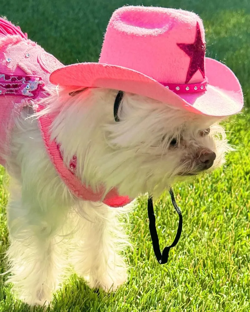 Cowboy Hat for Dogs in Black or Pink